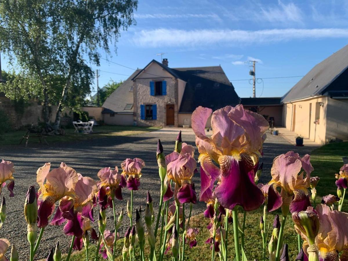 Bed and Breakfast Les Logis du Breuil à Marchéville Extérieur photo